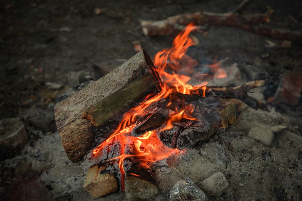 Photograph by Сагдиева Эльвира