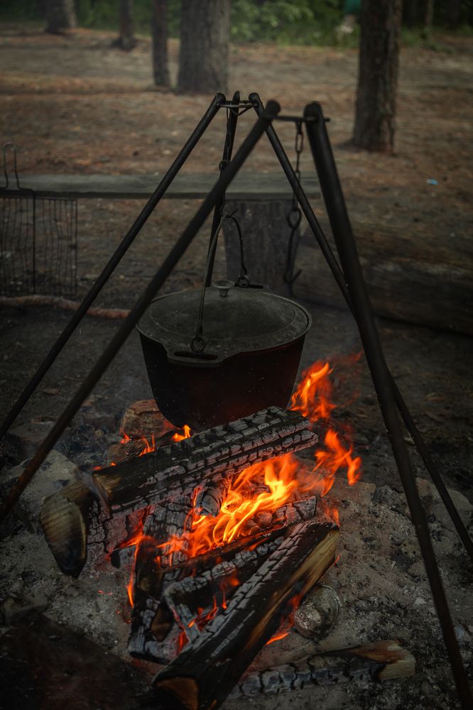 Photograph by Сагдиева Эльвира