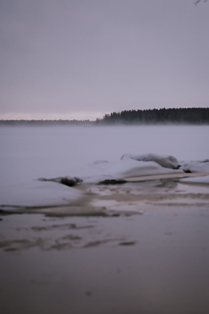 Photograph by Елизавета Шипулина