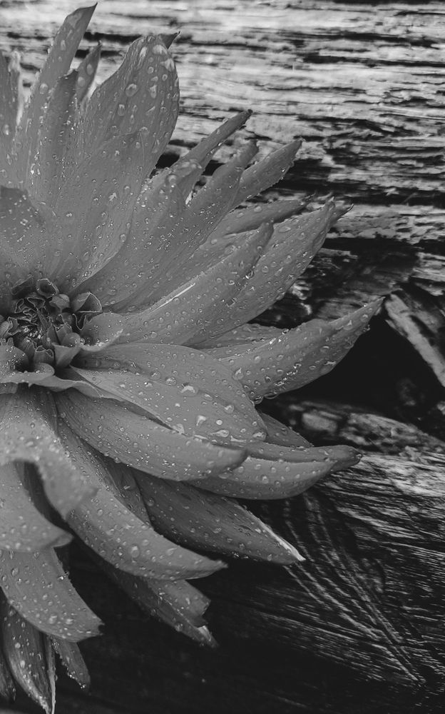 Фотография автора Войнов Дмитрий