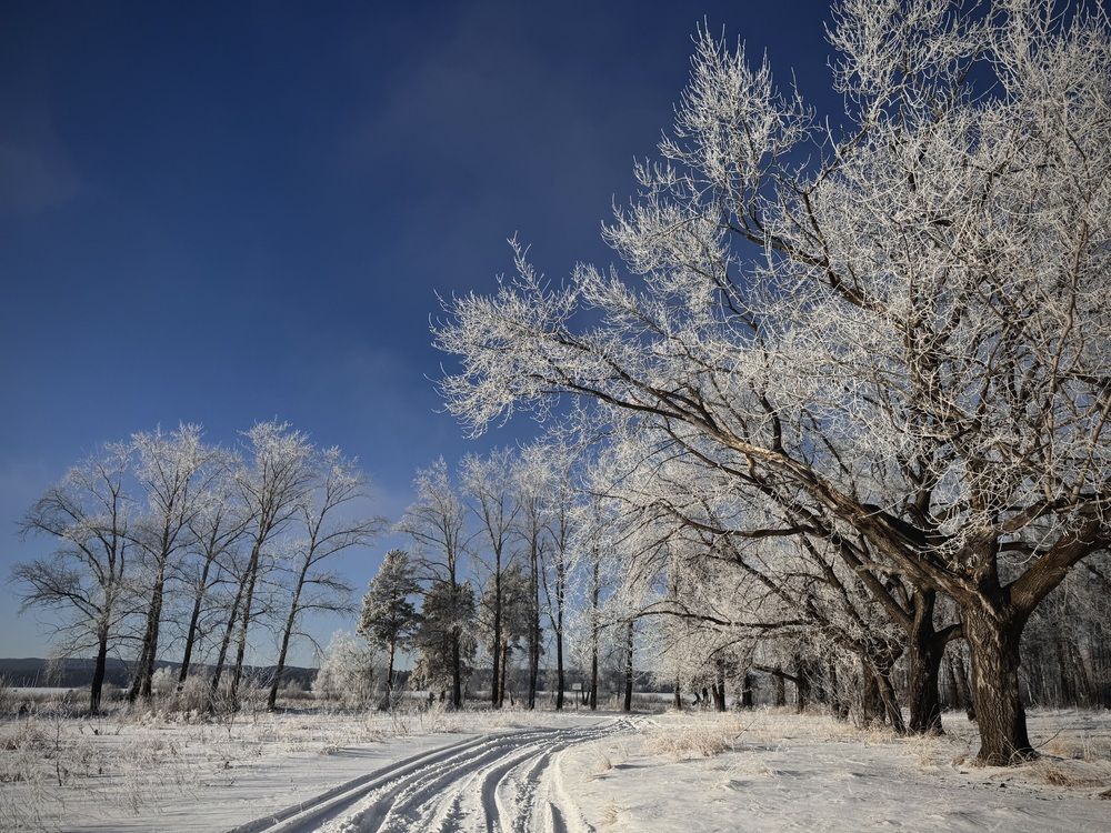 Фотография автора Евгения Елисеева