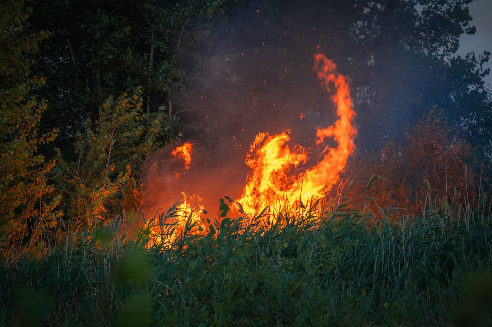 Photograph by Сагдиева Эльвира