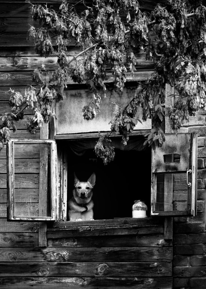 Photograph by Tatiana Shtun