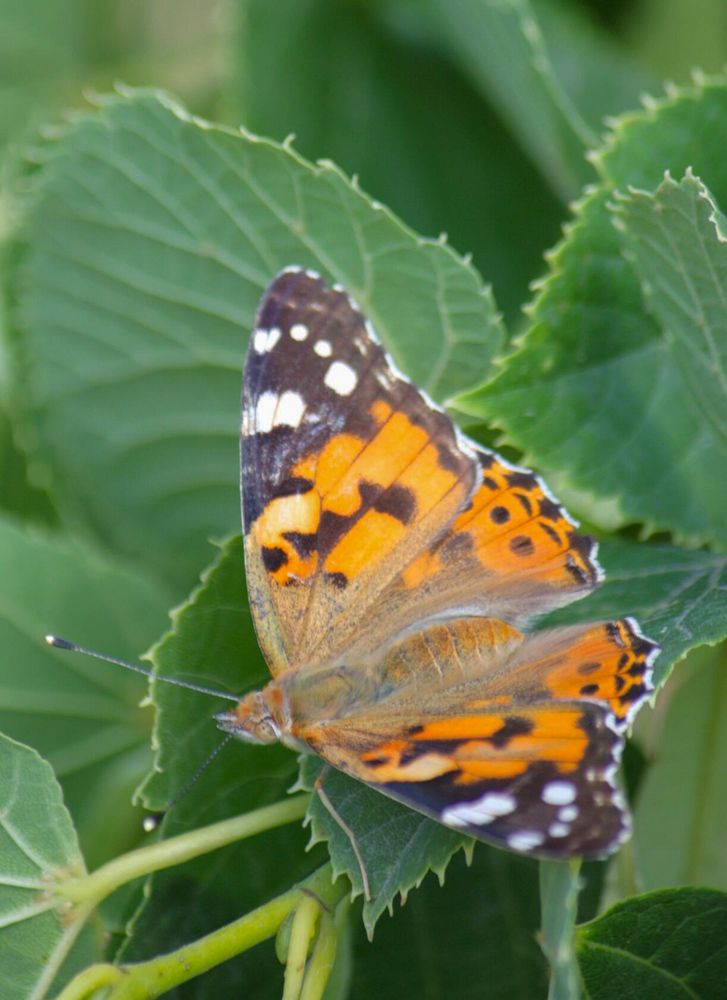 Photograph by Титова Наталья