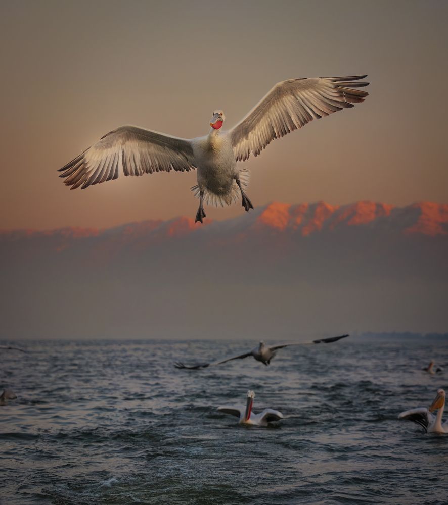 Photograph by Ruzdi Ekenheim