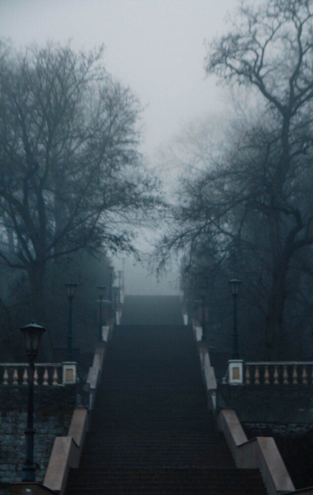Фотография автора София Гринько
