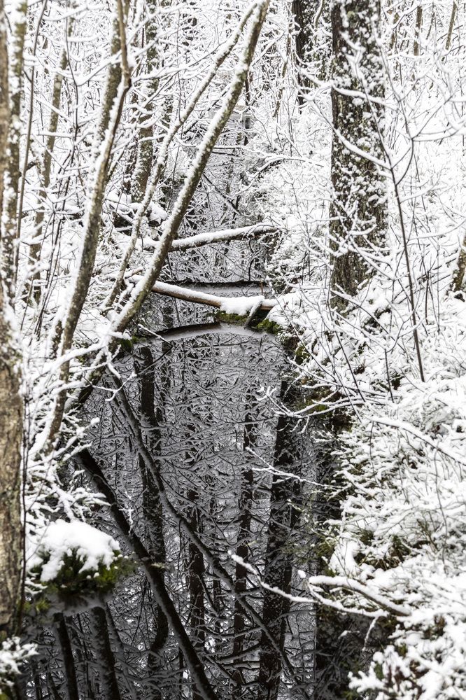 Photograph by Александр Новиков