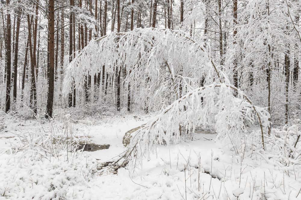 Photograph by Александр Новиков