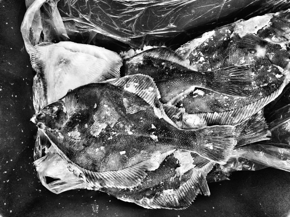 Photograph by Vladimir Freedom