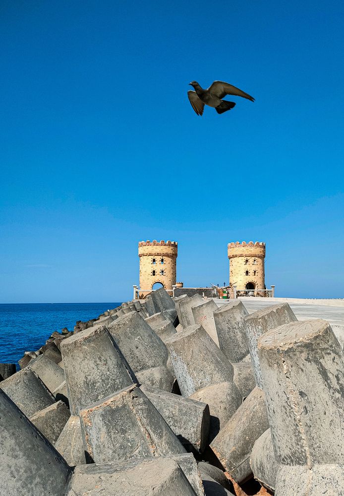 Фотография автора Sara Attia