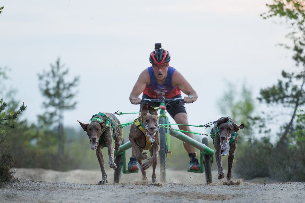 Photograph by Илья Юфа