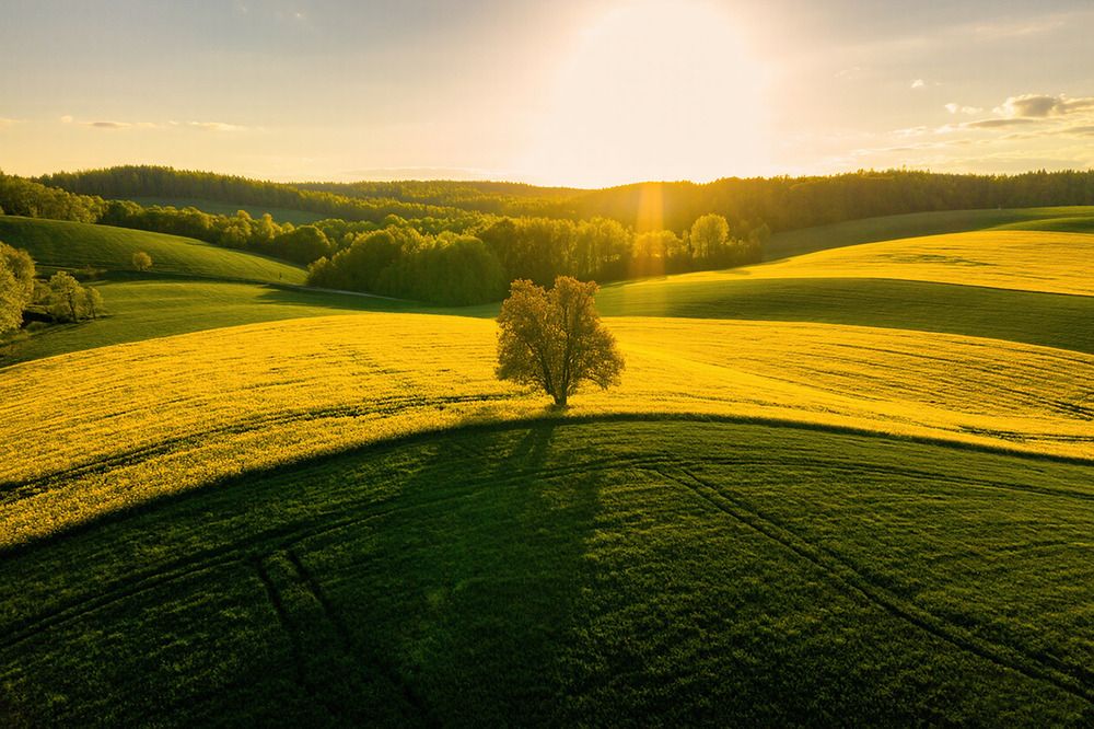 Photograph by Маргарита Смоленская