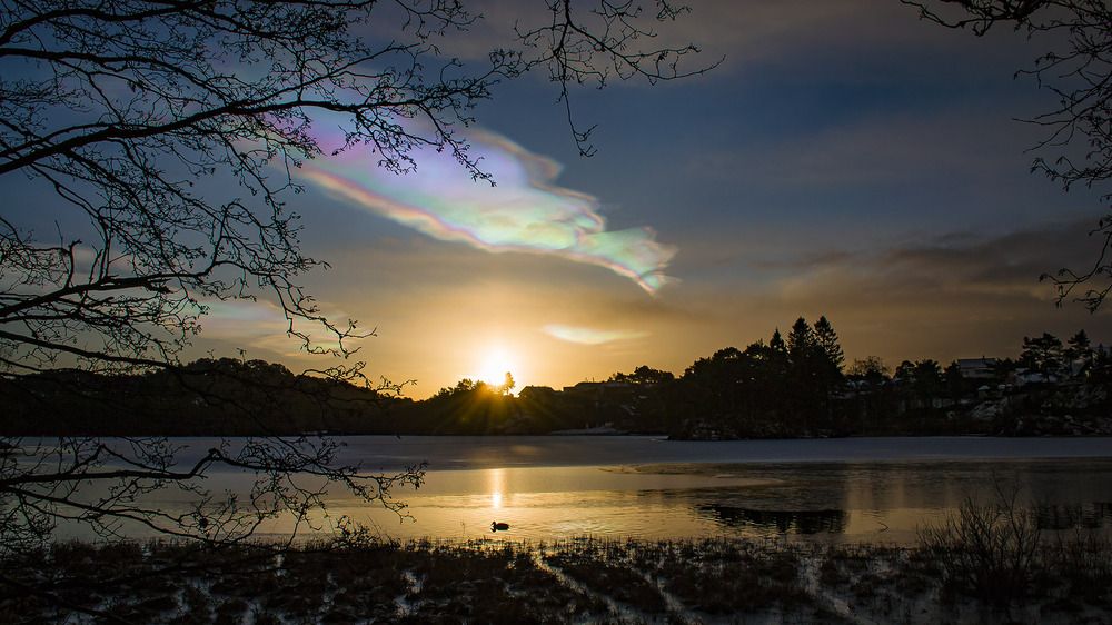 Photograph by Natalie Chaikovskaya