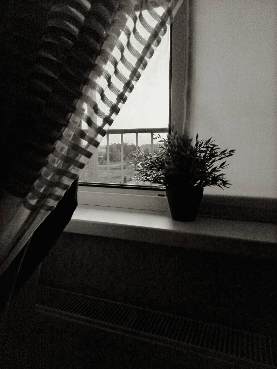 Photo #11933998