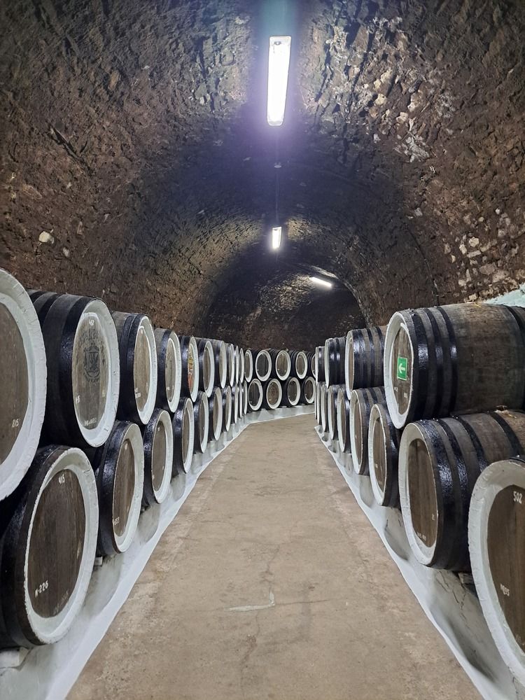 Photograph by Юрий Бирюков