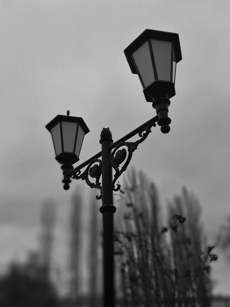 Photograph by Михаил Пасынков