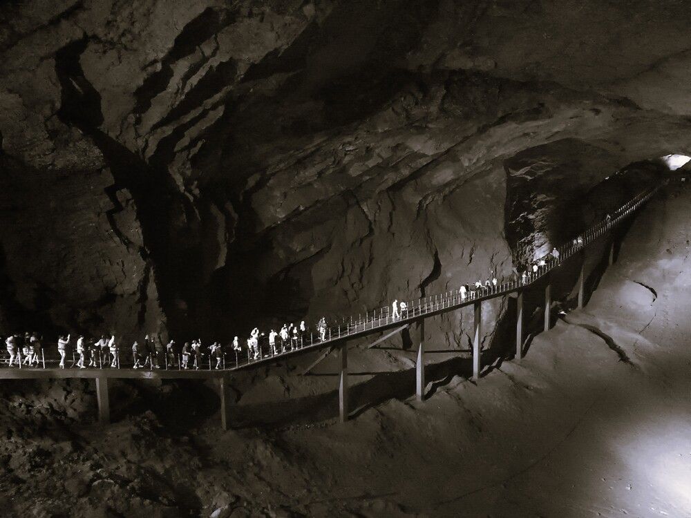 Photograph by Мария Лаврухина