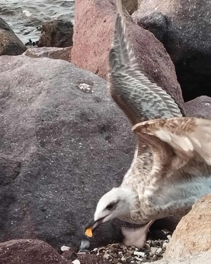 Photograph by Gülçin Çete