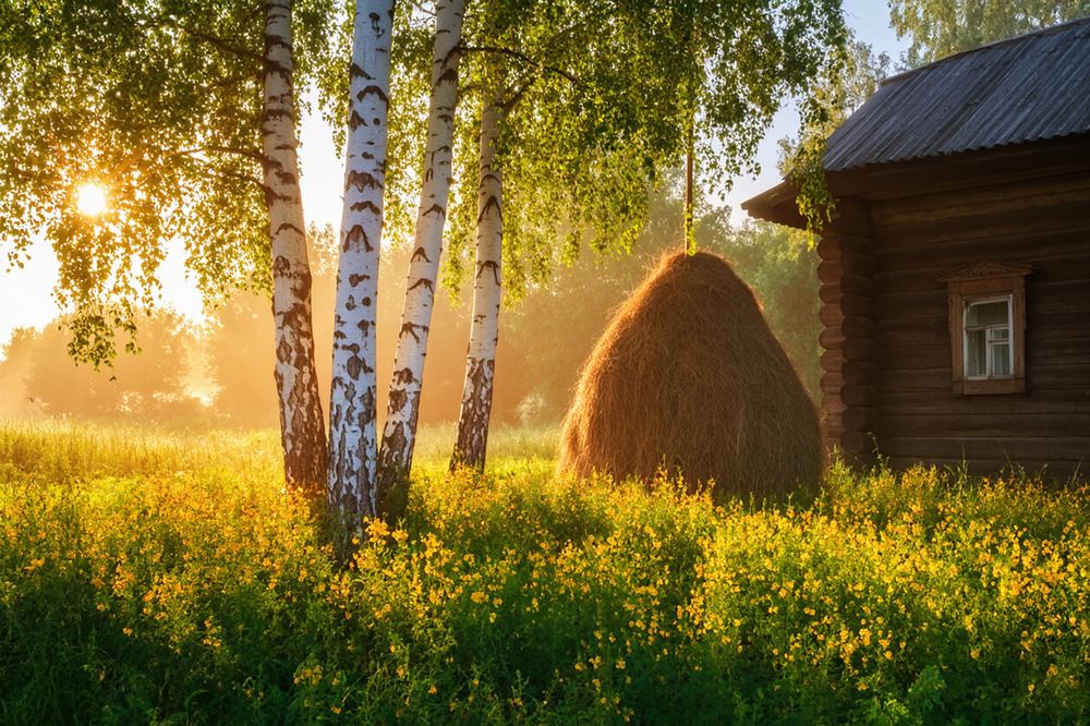 Photograph by Маргарита Смоленская