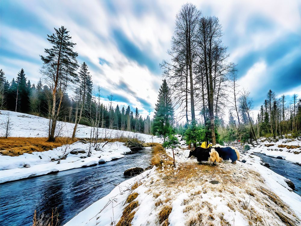 Photograph by Ashish Kalsarpe