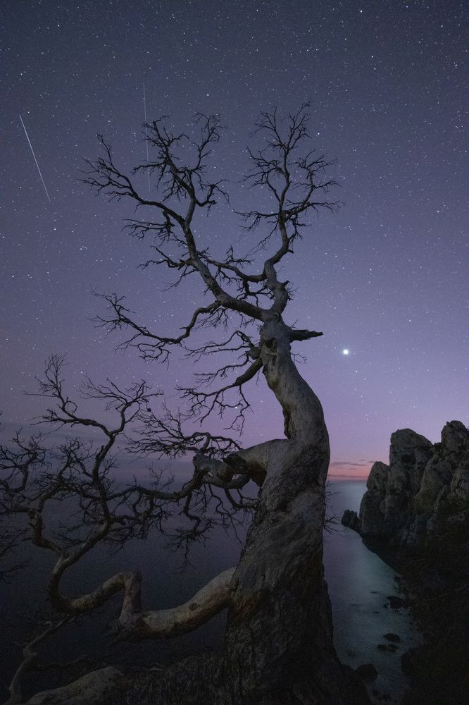 Photograph by Михаил Гапонов