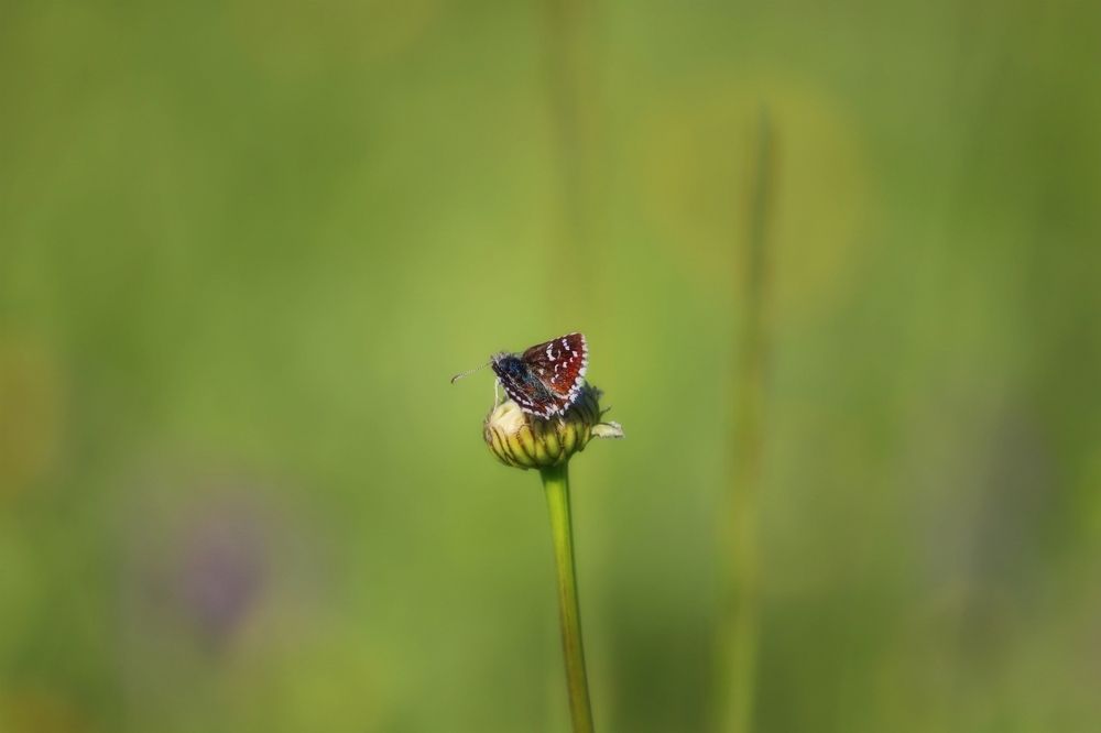 Photograph by Владимир Перминов