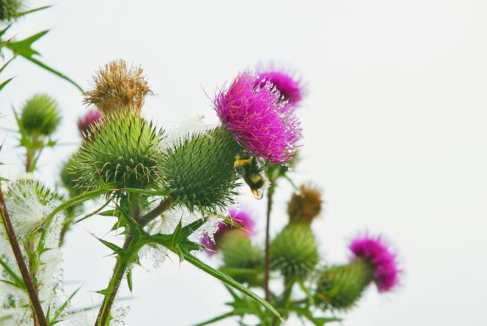 Photograph by Юрий Тимофеев