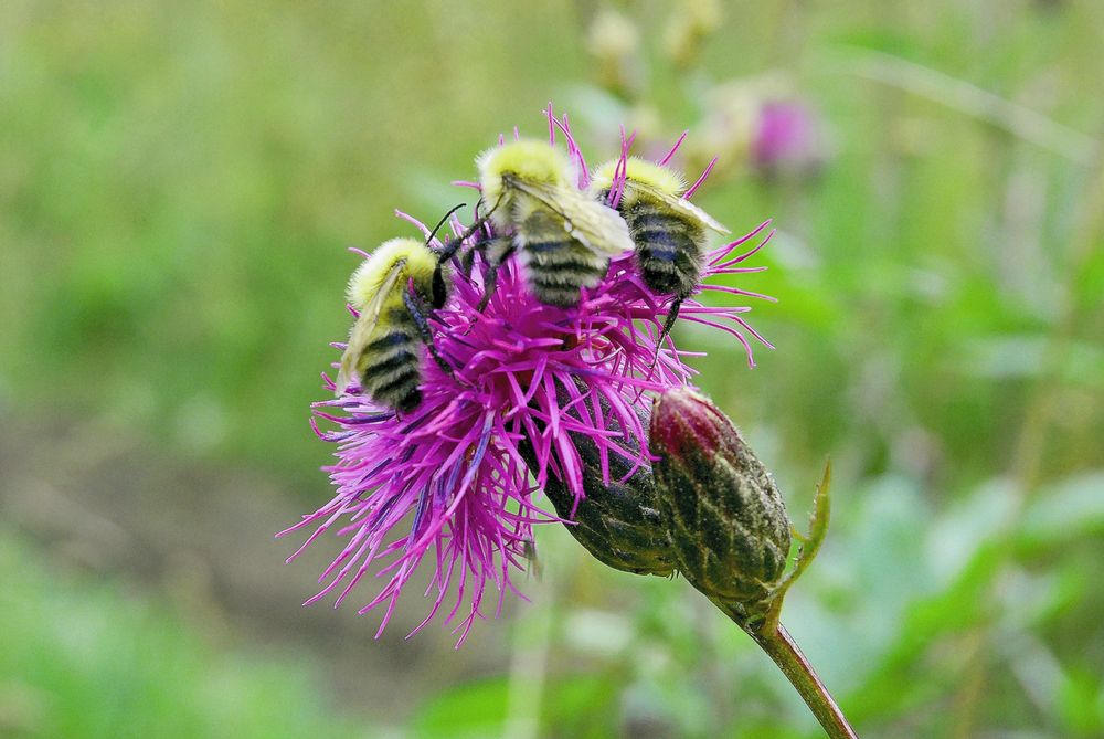 Photograph by Юрий Тимофеев
