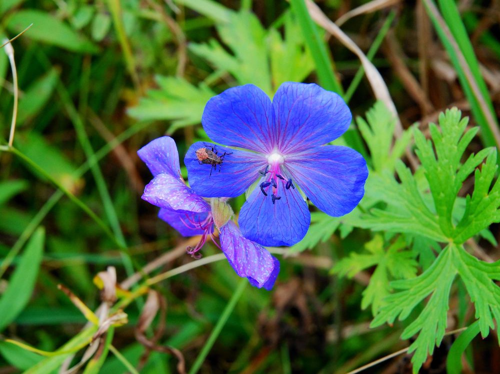 Photograph by Юрий Тимофеев