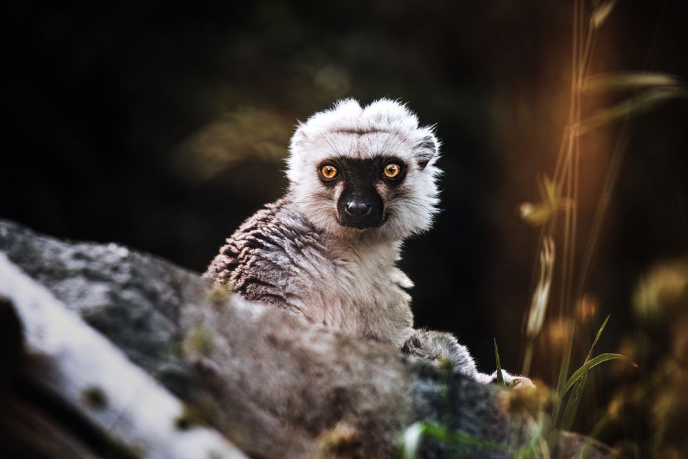 Photograph by Zaneta Konradova