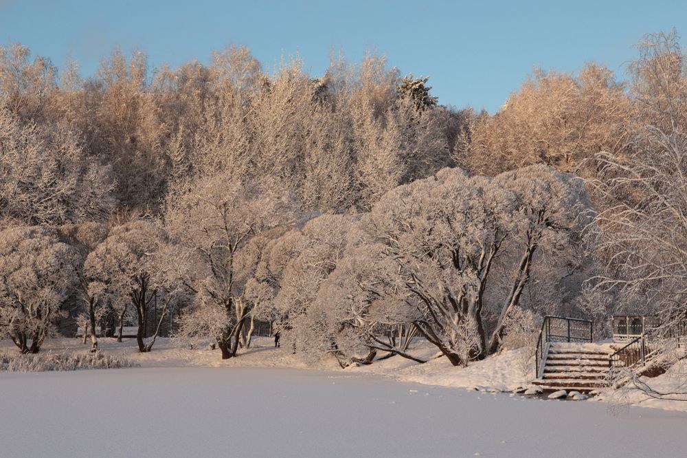 Фотография автора Александр Кожевников