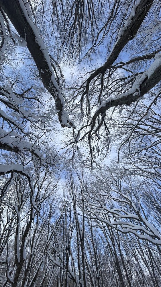 Photograph by Рузанна Гюрджян