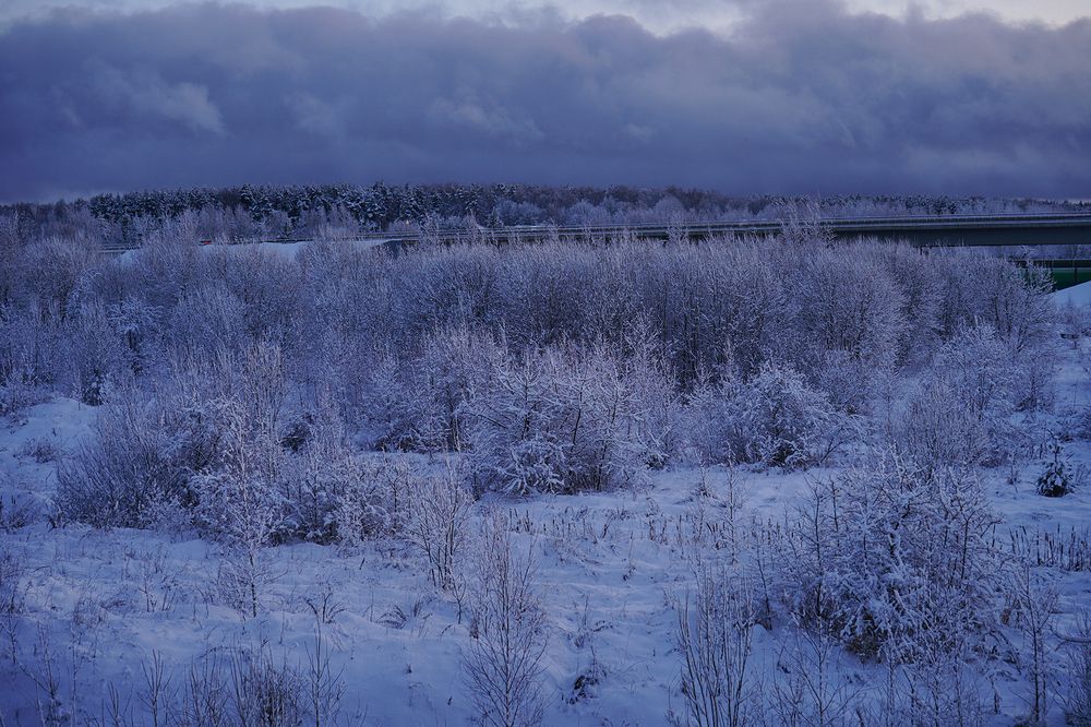 Photograph by Евгений Гонтов