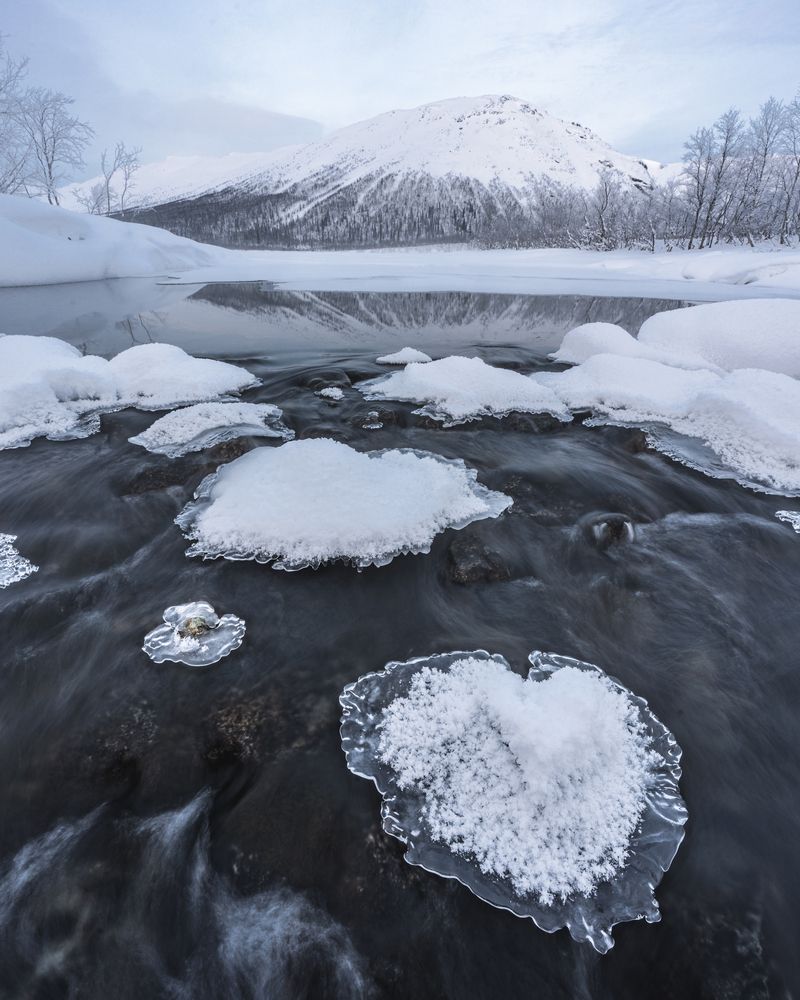 Photograph by Андрей Гусаров