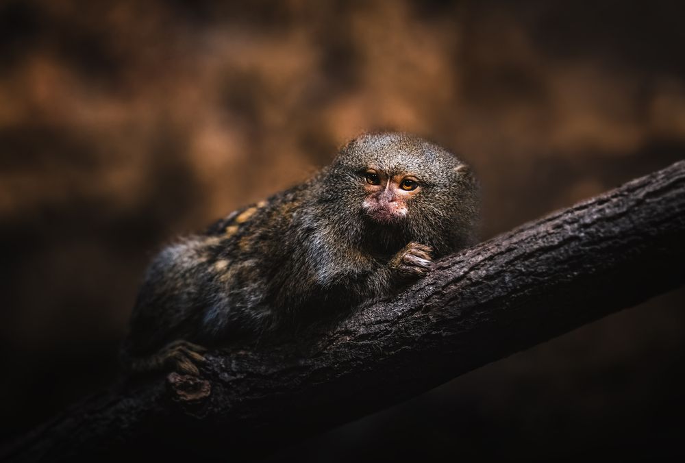 Photograph by Zaneta Konradova