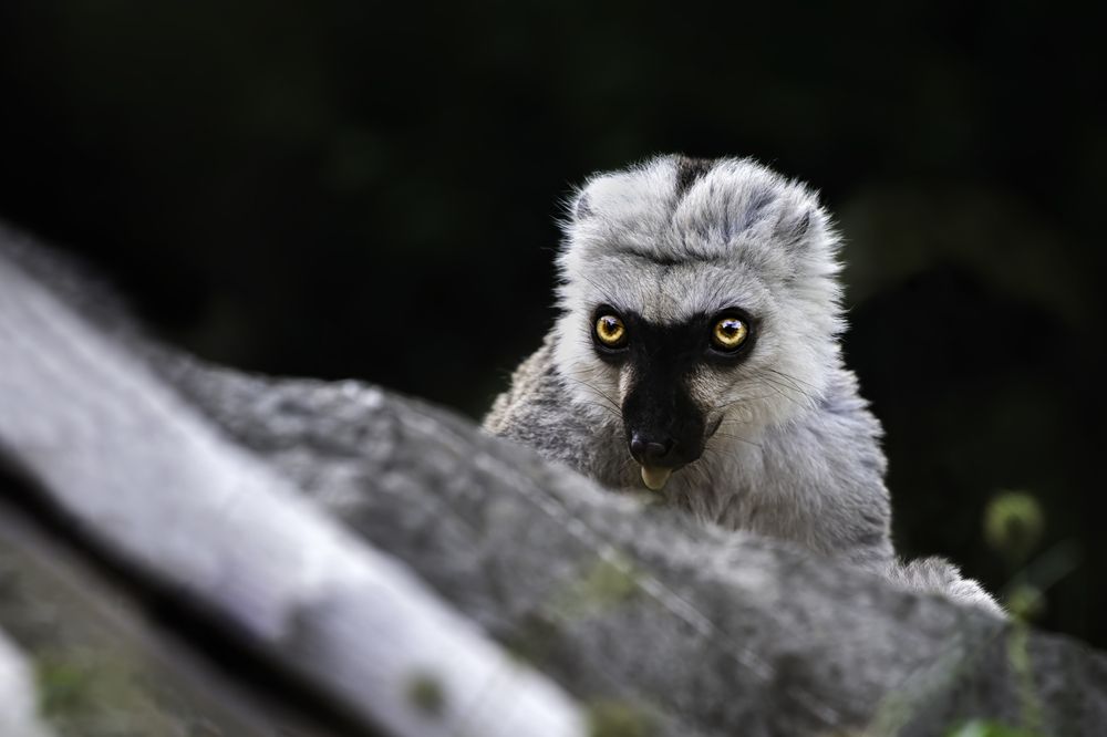 Photograph by Zaneta Konradova