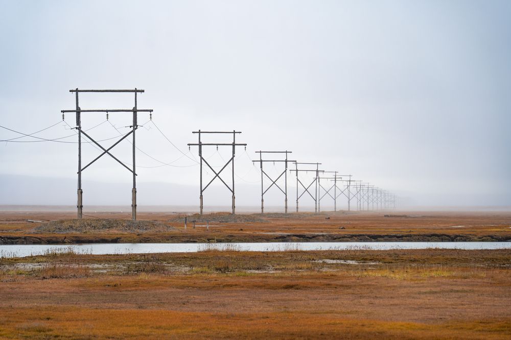 Photograph by Андрей Гусаров