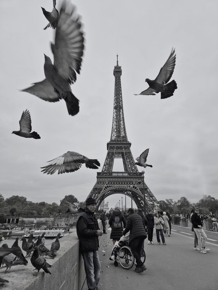 Фотография автора Nastaran Tafazoli