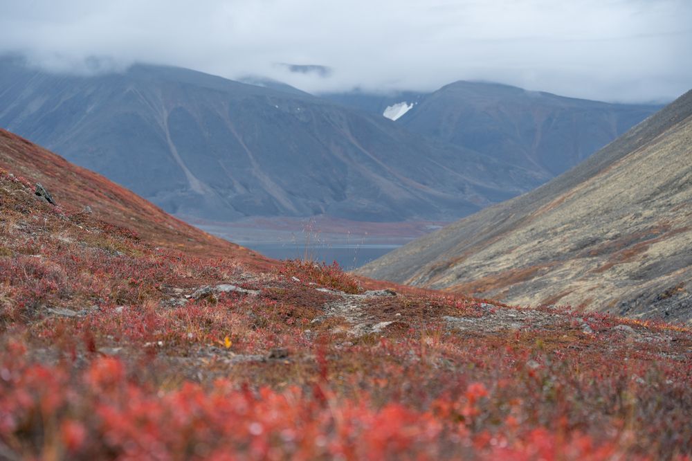 Photograph by Андрей Гусаров