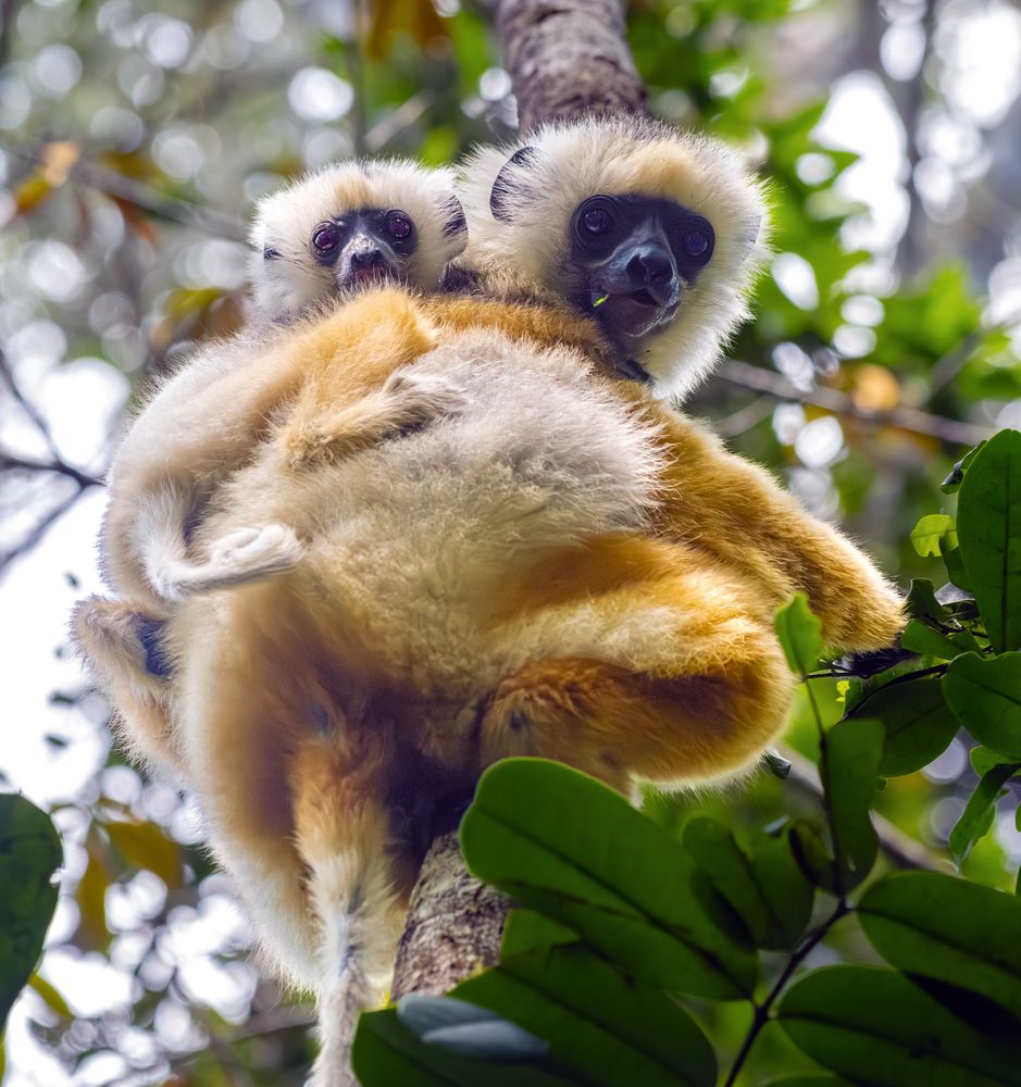 Photograph by Nifiba Suneer