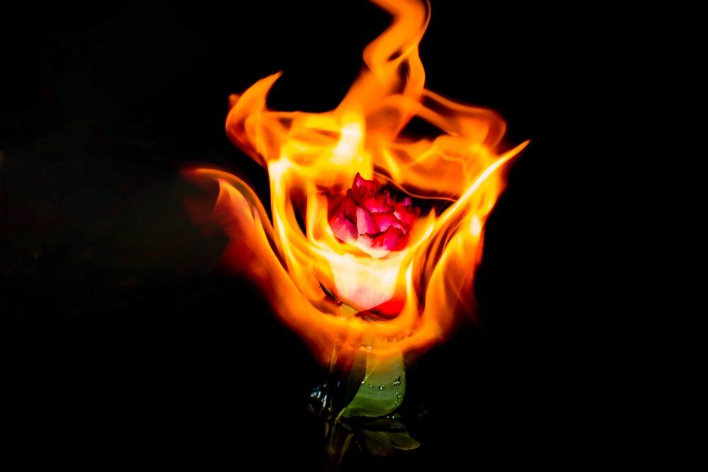 Photograph by Лилия Ерина