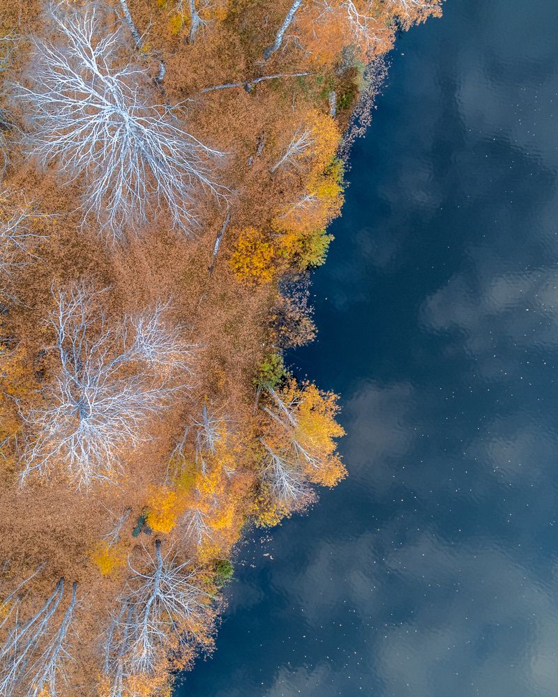 Photograph by Карамышева Дарья