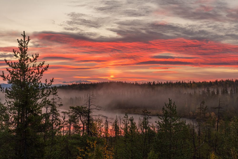 Photograph by Карамышева Дарья