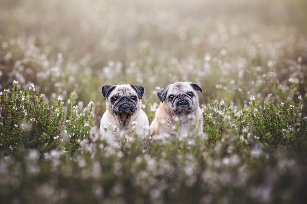 Фотография автора Rut Casanellas