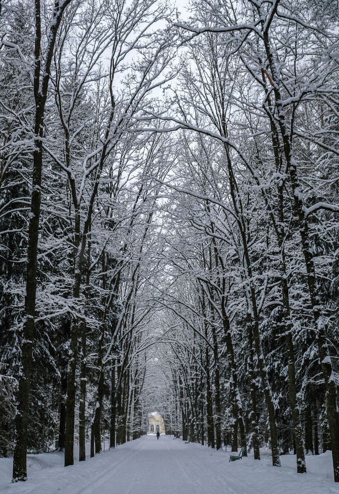 Фотография автора Ольга Виноградова