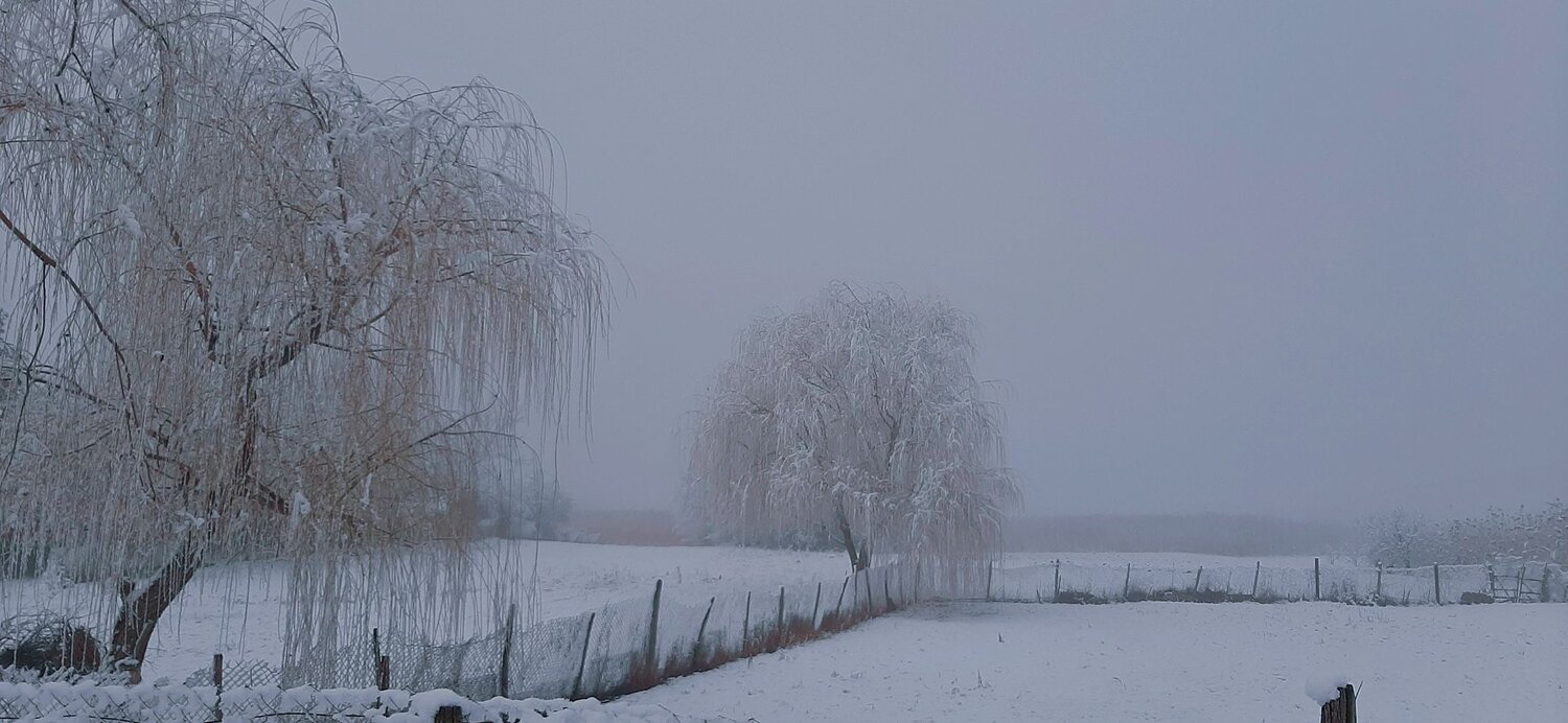 Photo #11934636