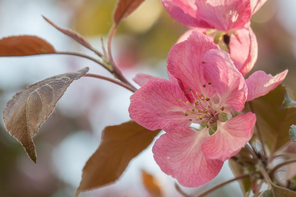 Photograph by Рина Серёгина