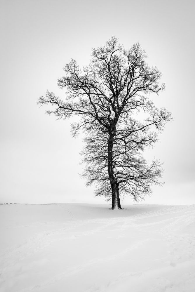 Photograph by Kulikova Albina