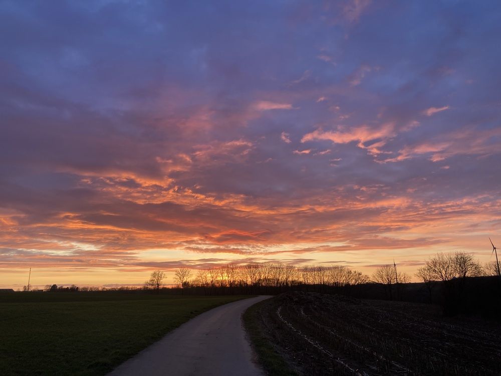 Photograph by Olena Rebrova