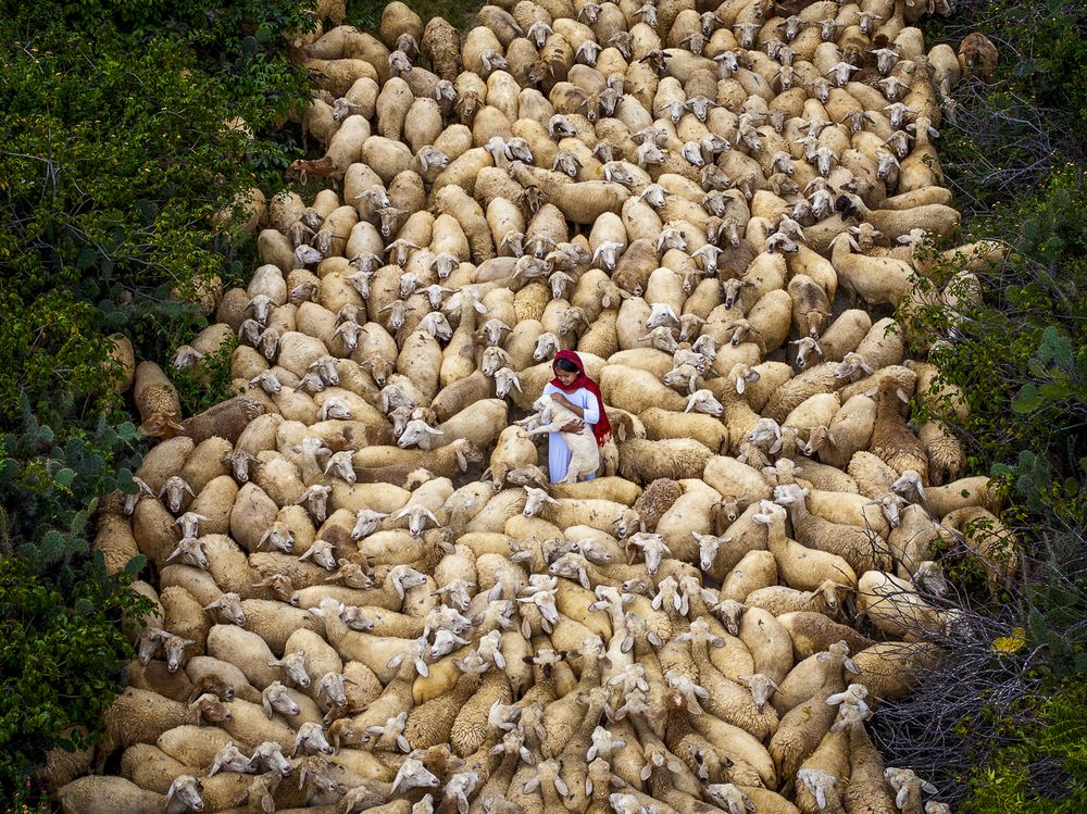 Photograph by Maria Gabriela Rocha Gomez